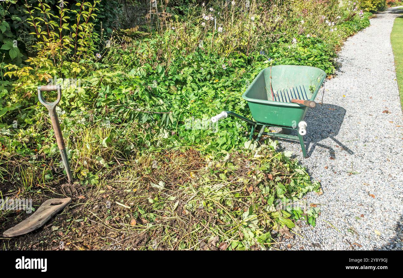 Das Blumenbeet nach dem Ende der Sommersaison aufräumen. Stockfoto