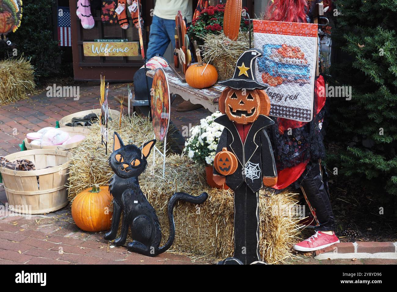 Die Bäume beginnen, ihre Farbe zu ändern. Stockfoto