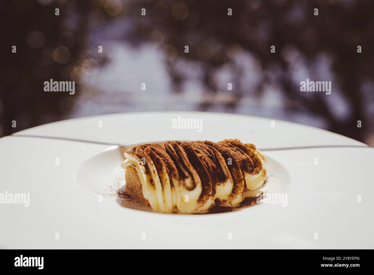 Der Tiramisù-Kuchen. Das beliebteste Dessert Italiens und eines der am weitesten verbreiteten Desserts im Ausland. Hier in einer stilvollen Alleinpräsentation Stockfoto
