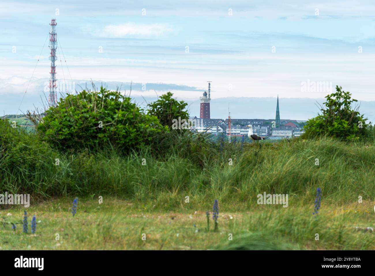 Blick von der Helgolanddüne auf die Hauptinsel, Hochseeinsel Helgoland, Nordsee, Schleswig-Holstein, Bezirk Pinneberg, Norddeutschland Stockfoto