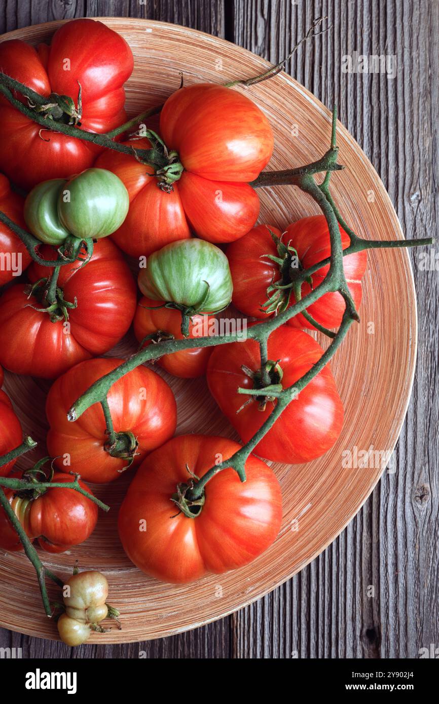 Reife rote Tomaten von der Bio-Farm auf Holzteller aus nächster Nähe. Lebensmittelfotografie Stockfoto