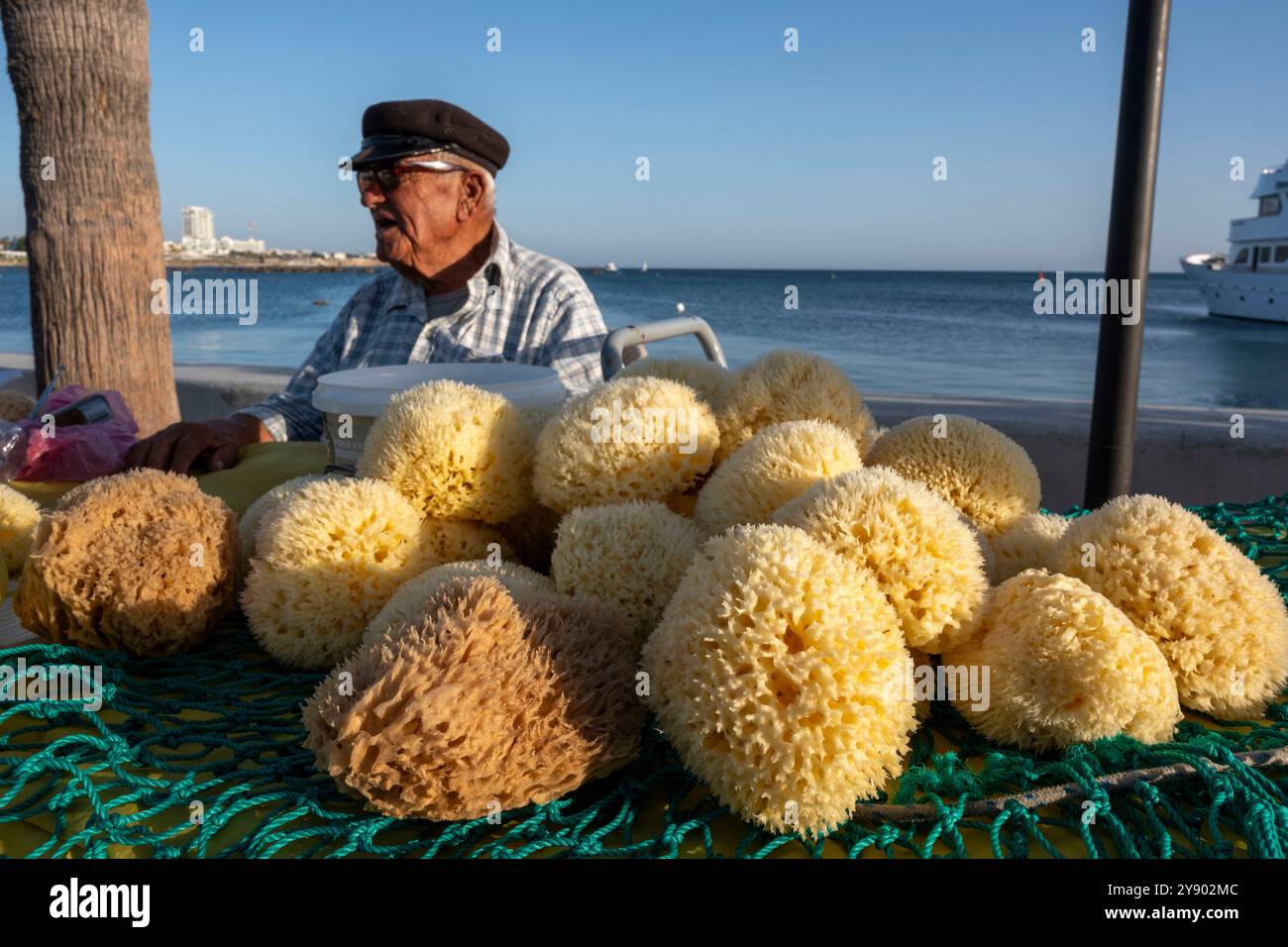 Ein Mann, der natürliche Schwämme am Meer im Hafen von Paphos auf Zypern verkauft. Stockfoto