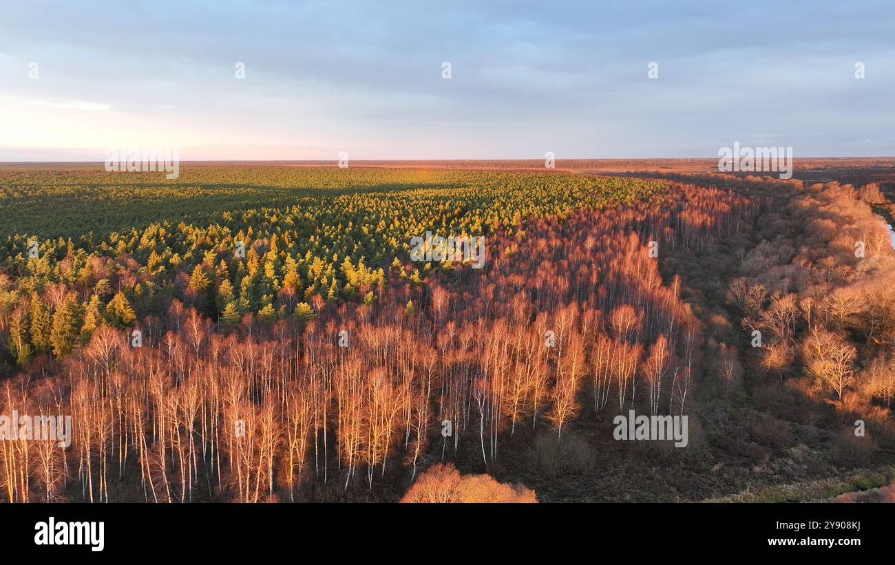 Farbenfroher Sonnenaufgang im november Stockfoto