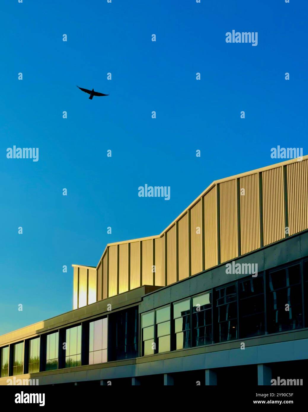 Untergehende Sonne leuchtendes Gebäude mit Taubensilhouette vor blauem Himmel. Stockfoto Untergehende Sonne leuchtendes Gebäude mit Taubensilhouette vor blauem Himmel. Stockfoto