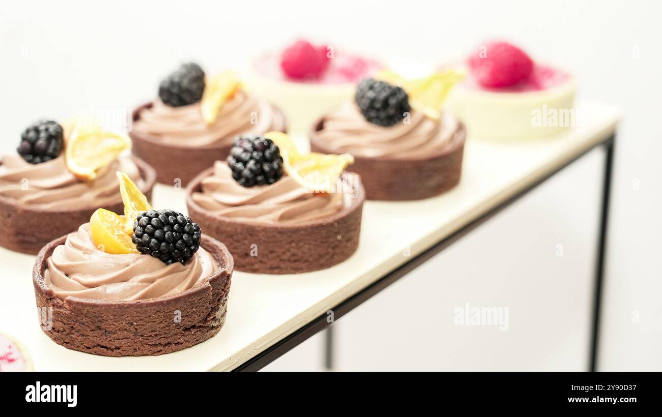 Elegante Dessertpräsentation mit Schokoladentörtchen mit frischen Brombeeren und Kopierraum Stockfoto