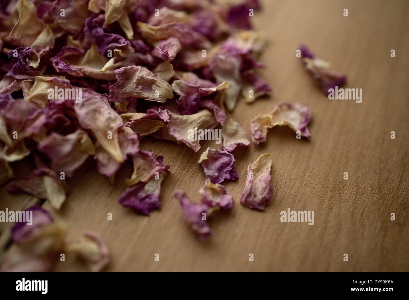 In dieser Herbstszene ruhen getrocknete Blumen auf einem rustikalen Holzhintergrund, um sie in maurergläsern zu lagern. In den Gläsern werden die getrockneten Rosenblätter konserviert. Stockfoto