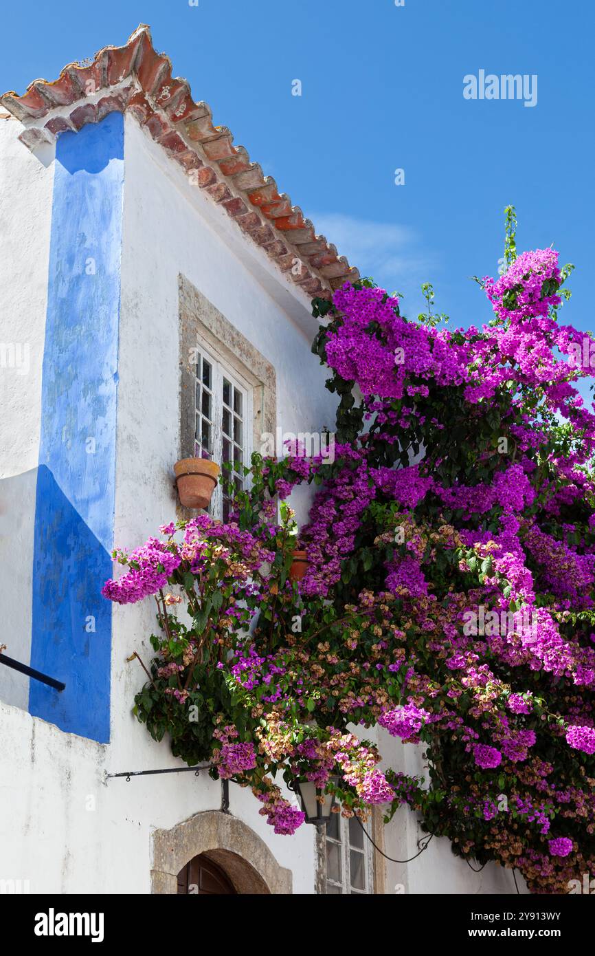 Ein traditionelles Haus mit bunten Blumen in der mittelalterlichen und malerischen Stadt Óbidos, Portugal. Stockfoto