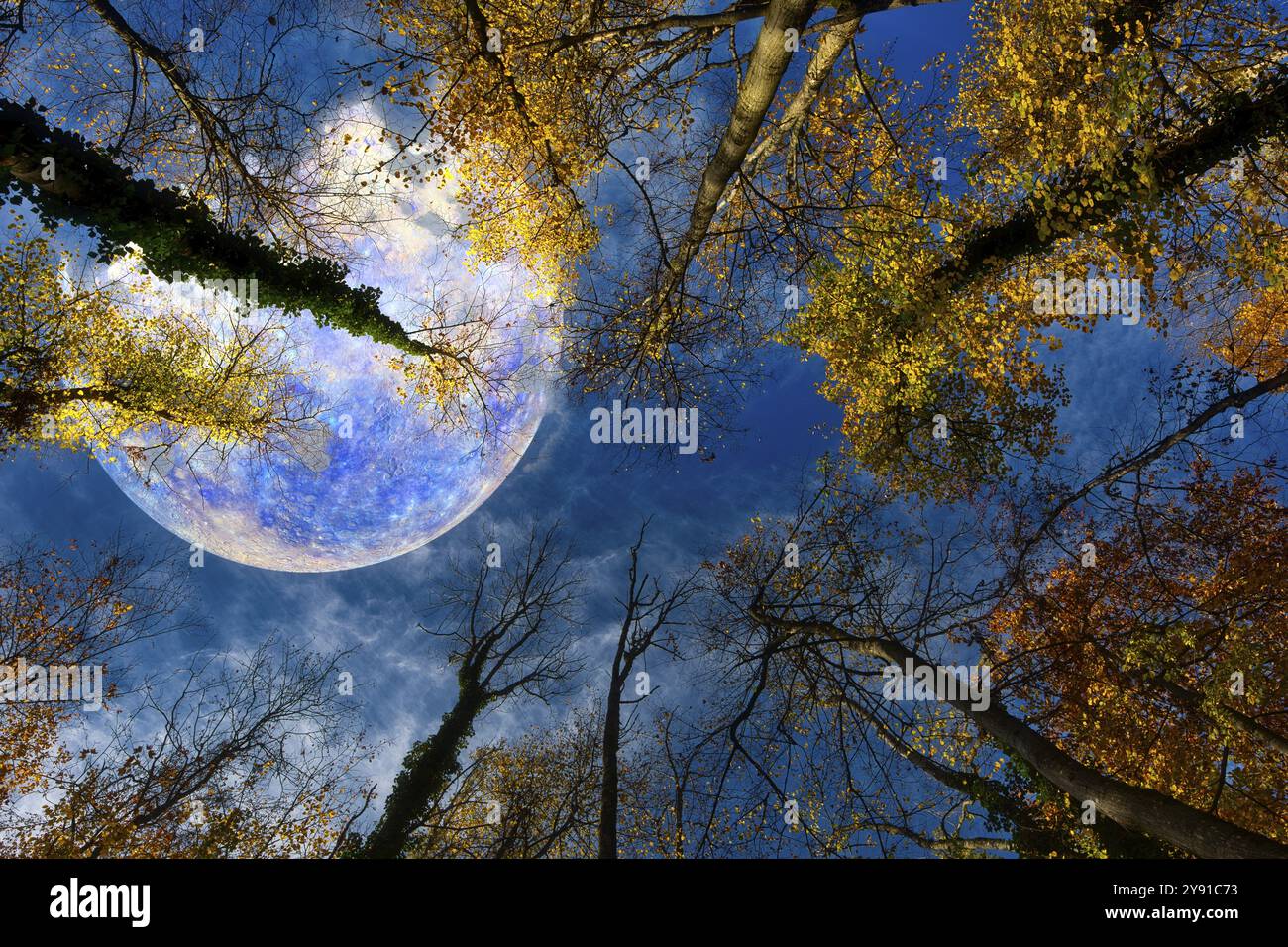 Blick vom Wald nach oben in den blauen Himmel, bunte Herbstblätter und