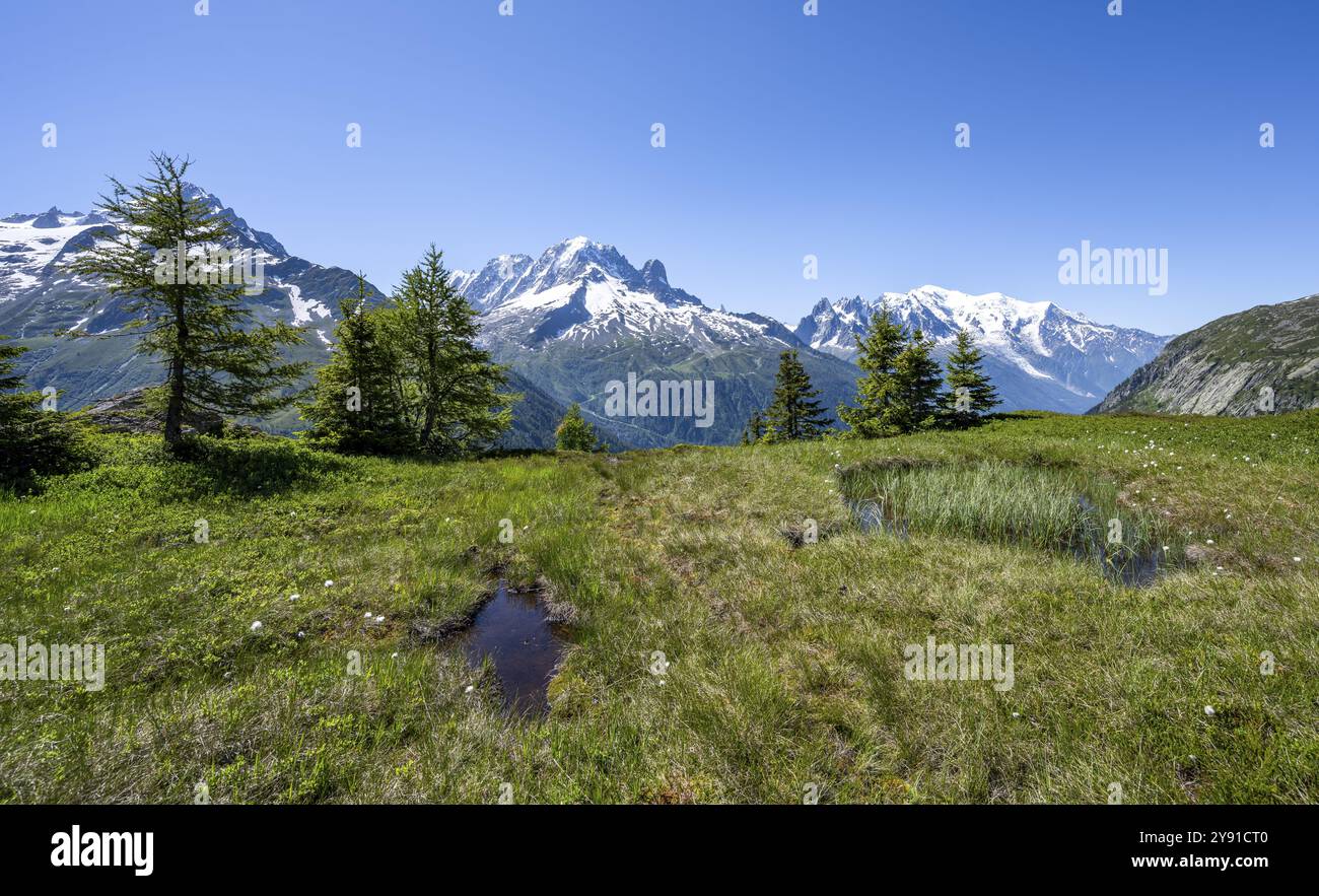 Bergpanorama mit Gletschern, Aiguille Verte mit Aiguille du Midi und Mont Blanc, Wanderung nach Aiguillette des Posettes, Chamonix, Haut Stockfoto