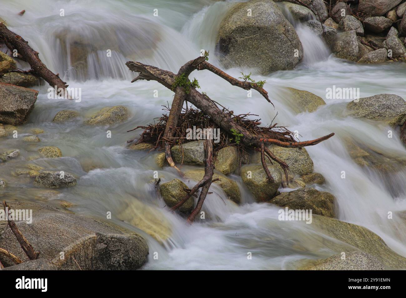 Der Fluss fließt über Steine und Äste in einem natürlichen Stilstil, Gefühl von Frische und Ruhe, lange Exposition, Kanton Wallis, Switz Stockfoto