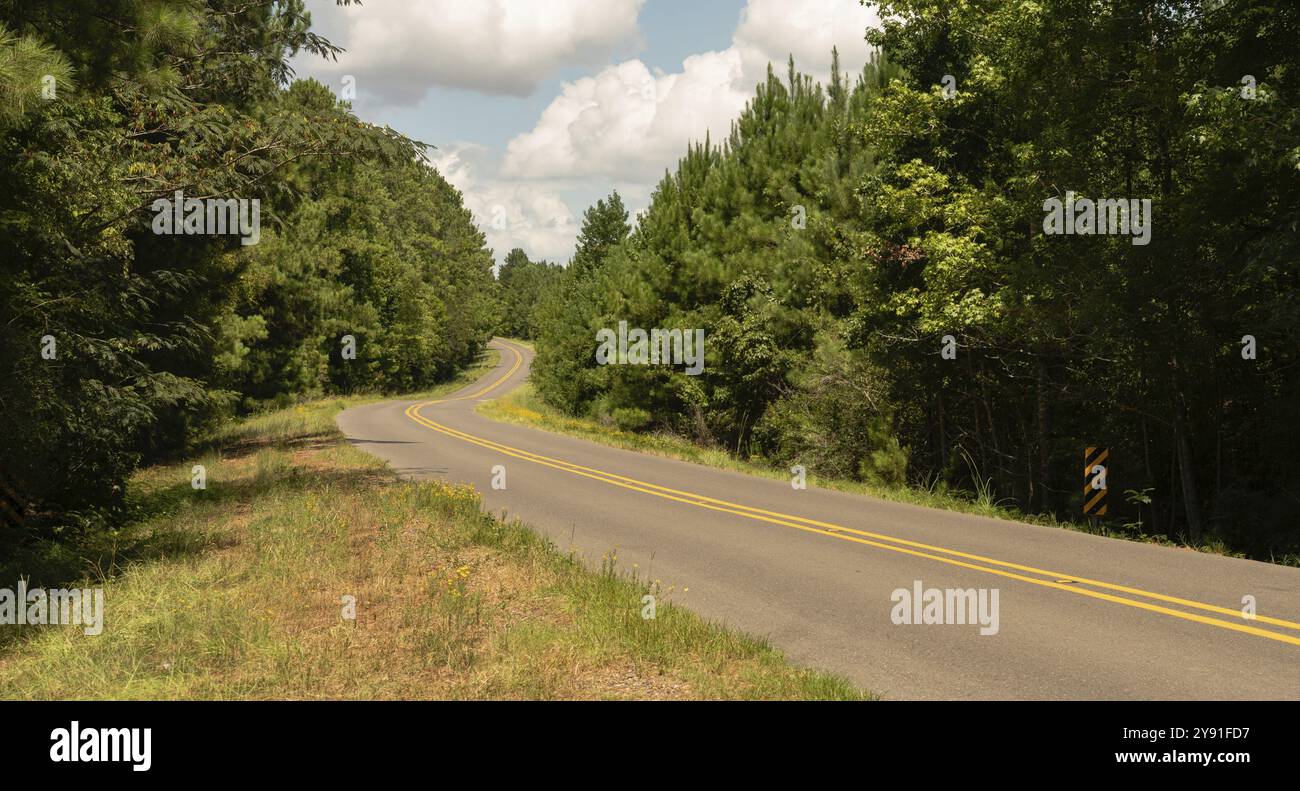 Einen zweispurigen asphaltierten Straße windet sich den Hügel hinauf, und um die in der nationalen Wald landschaft Bend Stockfoto