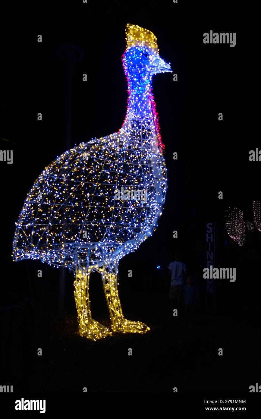 Riesige Kasuar-Statue aus Feenlichtern, Shine on Gimuy Festival, Cairns, Queensland, Australien. Kein MR oder PR Stockfoto