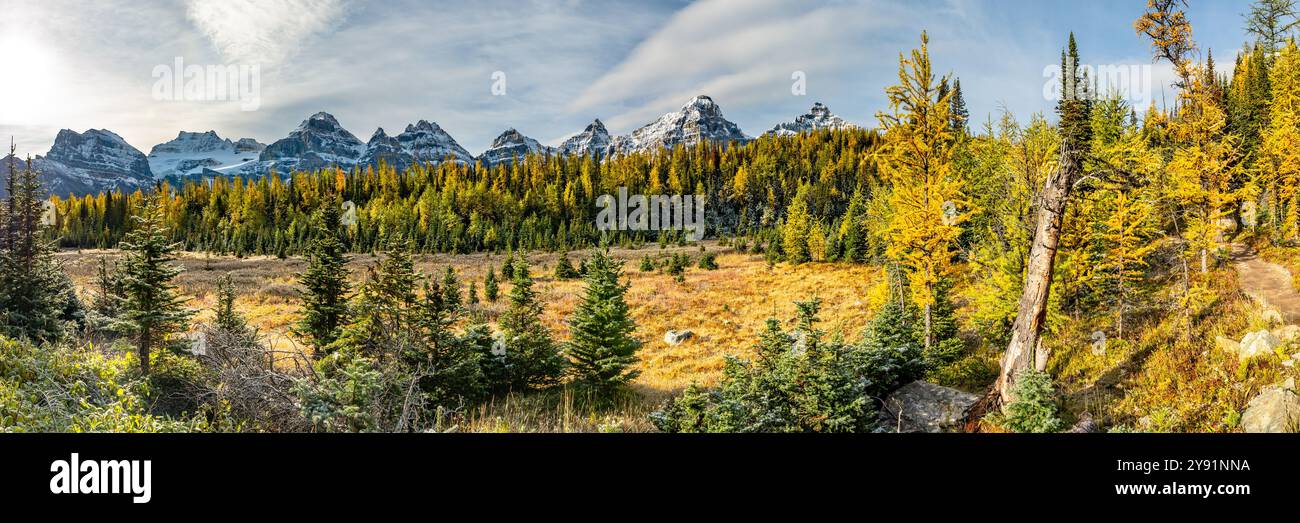 Wunderschöne herbstliche Ausblicke am Sentinal Pass, Larch Valley im September mit leichtem Schnee über die unglaubliche Landschaft im Norden Kanadas, Stockfoto