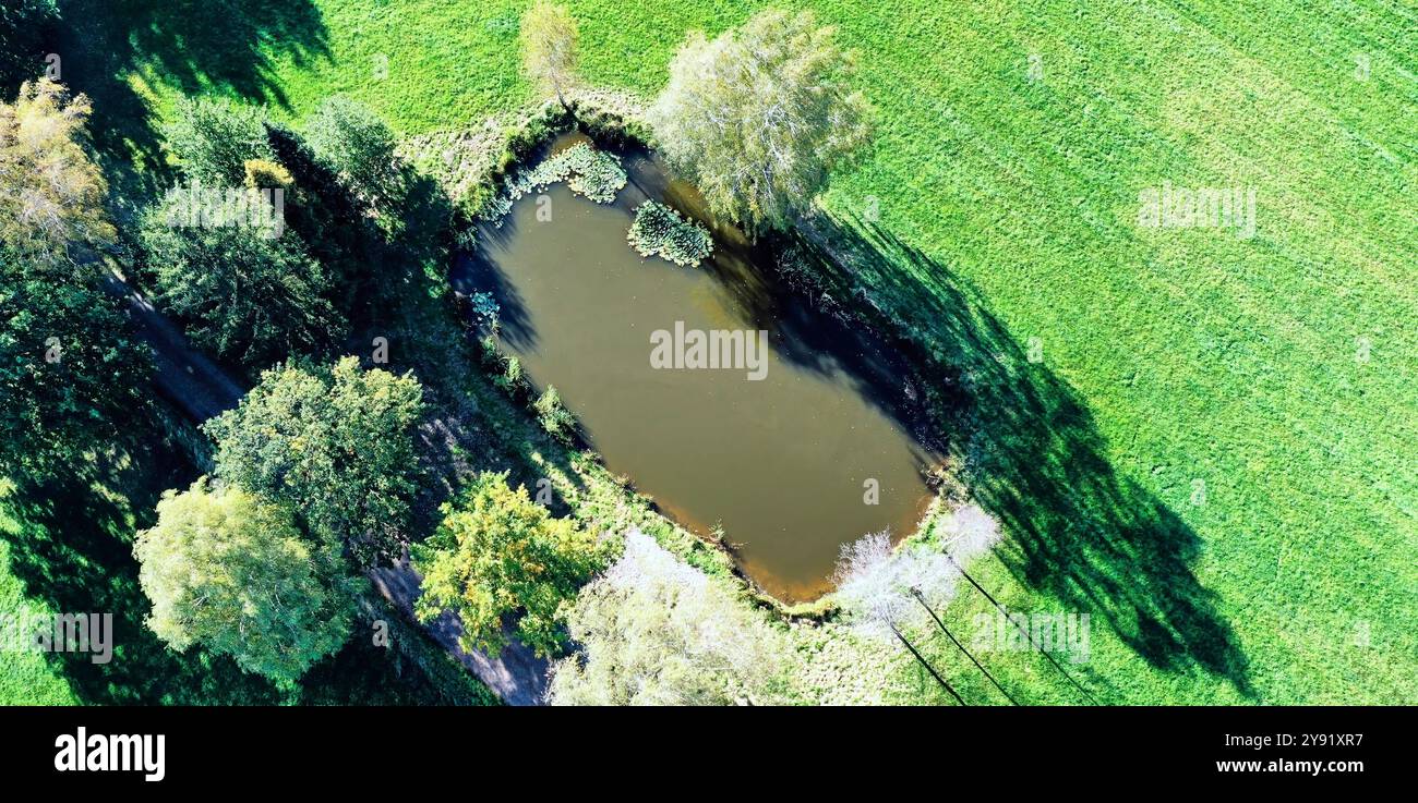 Die Drohne fängt an einem sonnigen Tag in deutschland einen kleinen See, umgeben von Bäumen und einem Pfad ein. Das üppige grüne Gras steht im Kontrast zum dunklen Wasser des Sees Stockfoto
