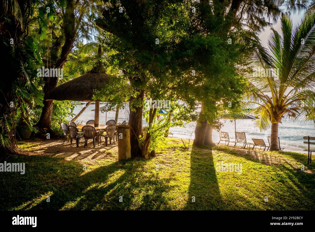 Wunderschöner Blick auf den exotischen tropischen Garten mit üppigem Laub und Picknicktisch am Meer, Grand Baie, Mauritius Stockfoto