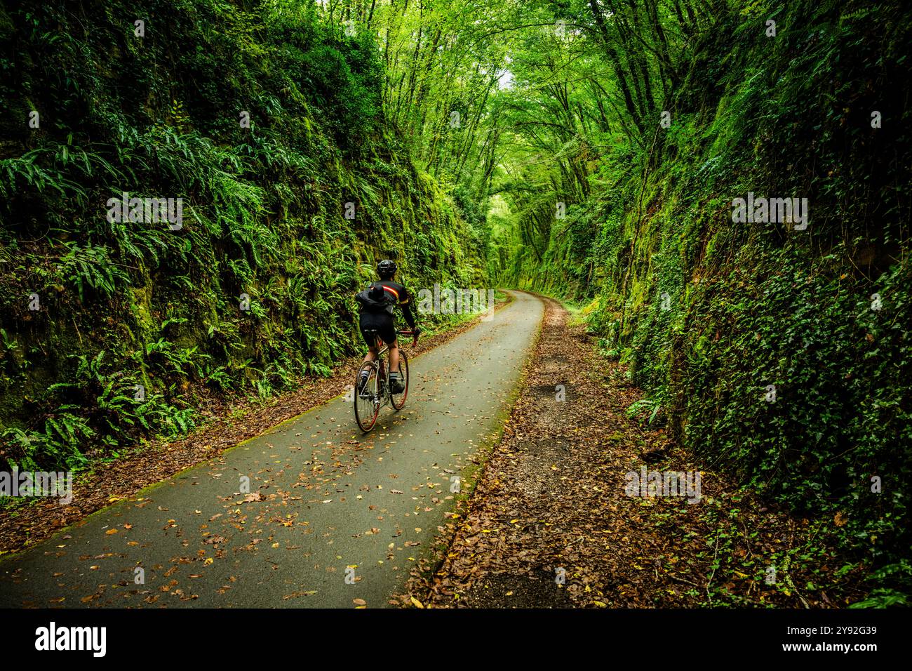 Männlicher Radfahrer, der durch einen Abschnitt auf dem Sarlat Voie Verte Radweg von Sarlat nach Cazoulès fährt Stockfoto