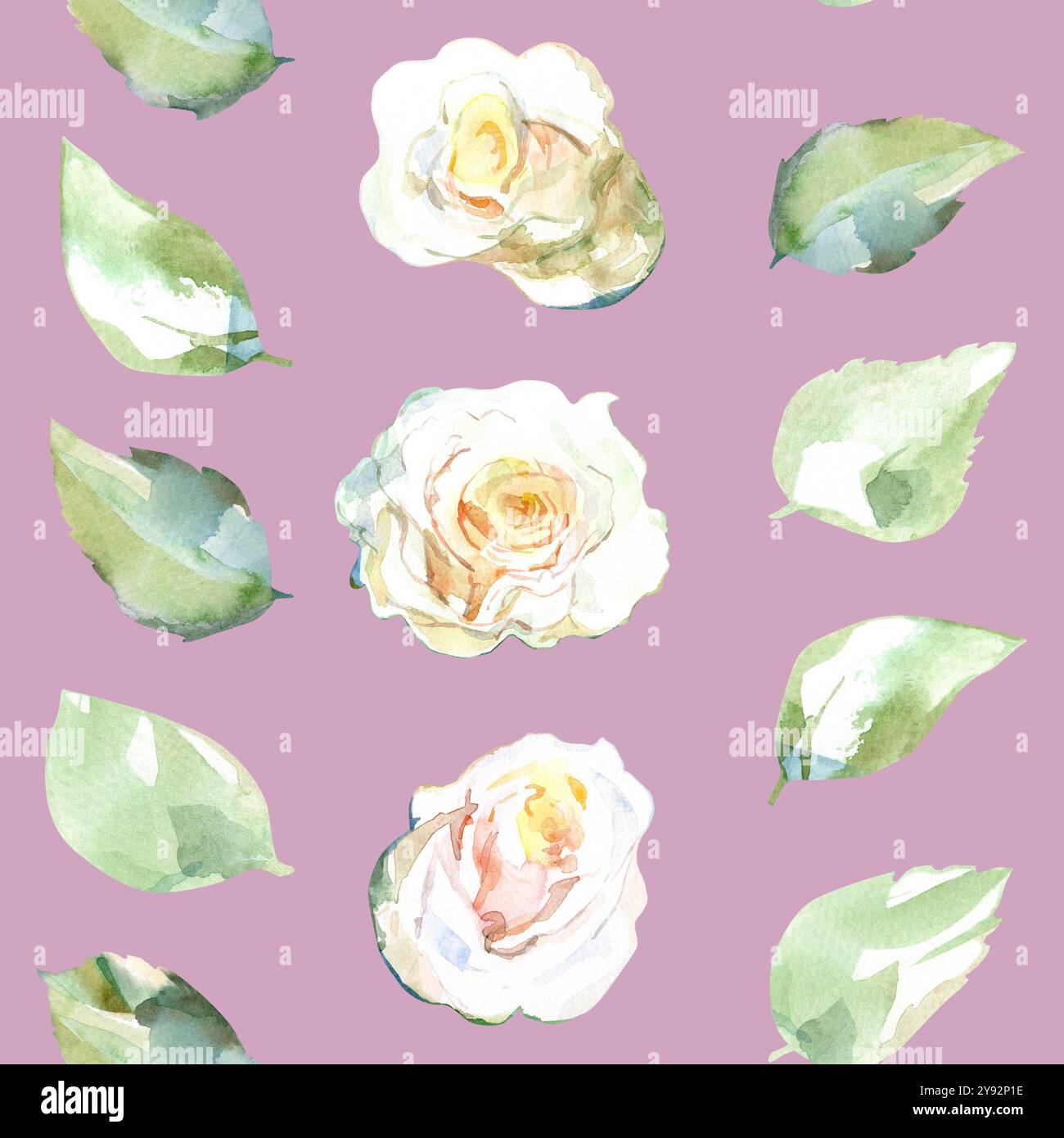 Nahtloses Muster von weißen Rosen mit grünen Blättern in Sammlung von Gartenblumen. Aquarellabbildung in Band, Band, Streifen für florales Design von Stockfoto