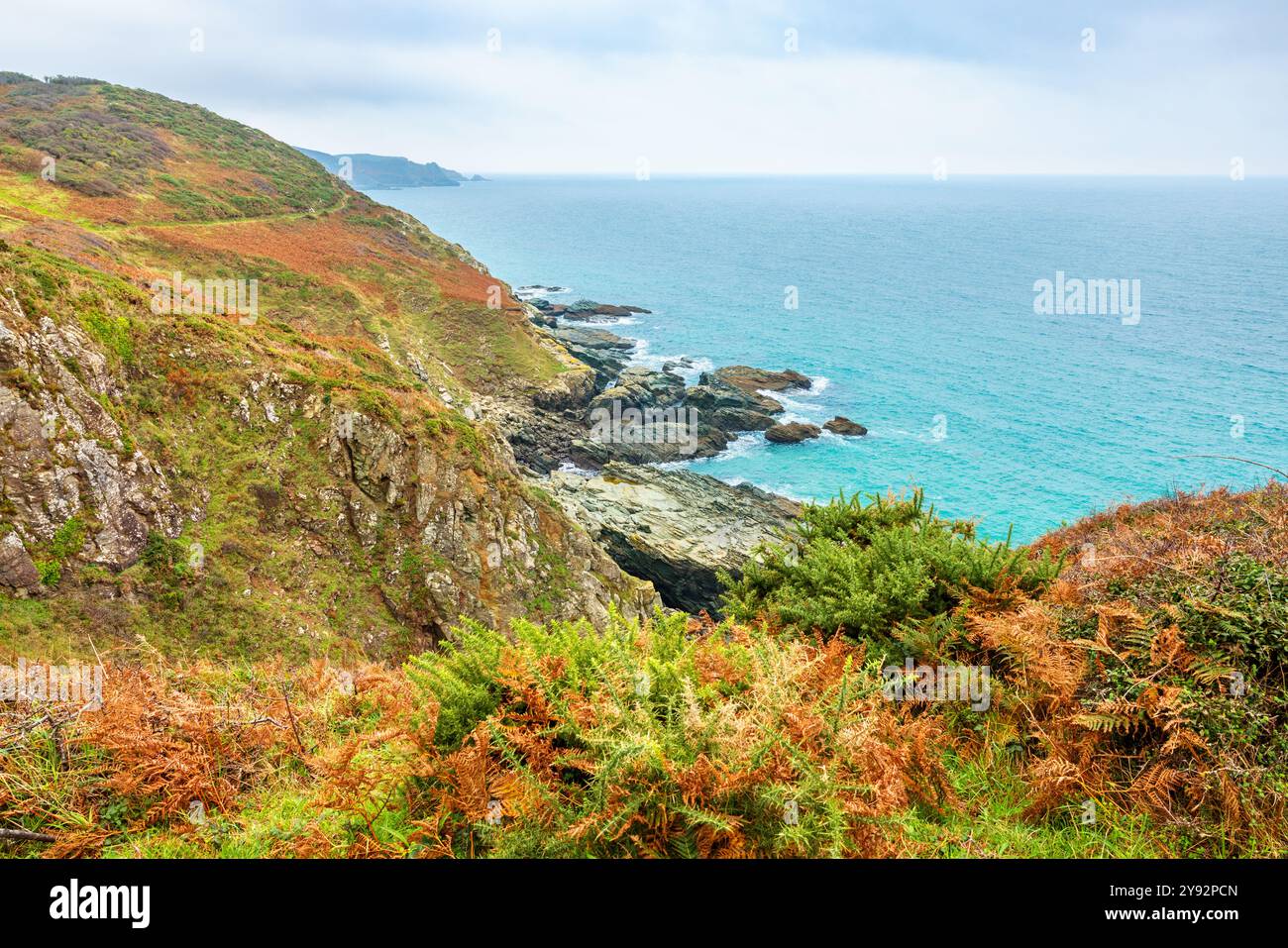 Felsige Küste in der Region South Hams in South Devon bei Salcombe. England Stockfoto