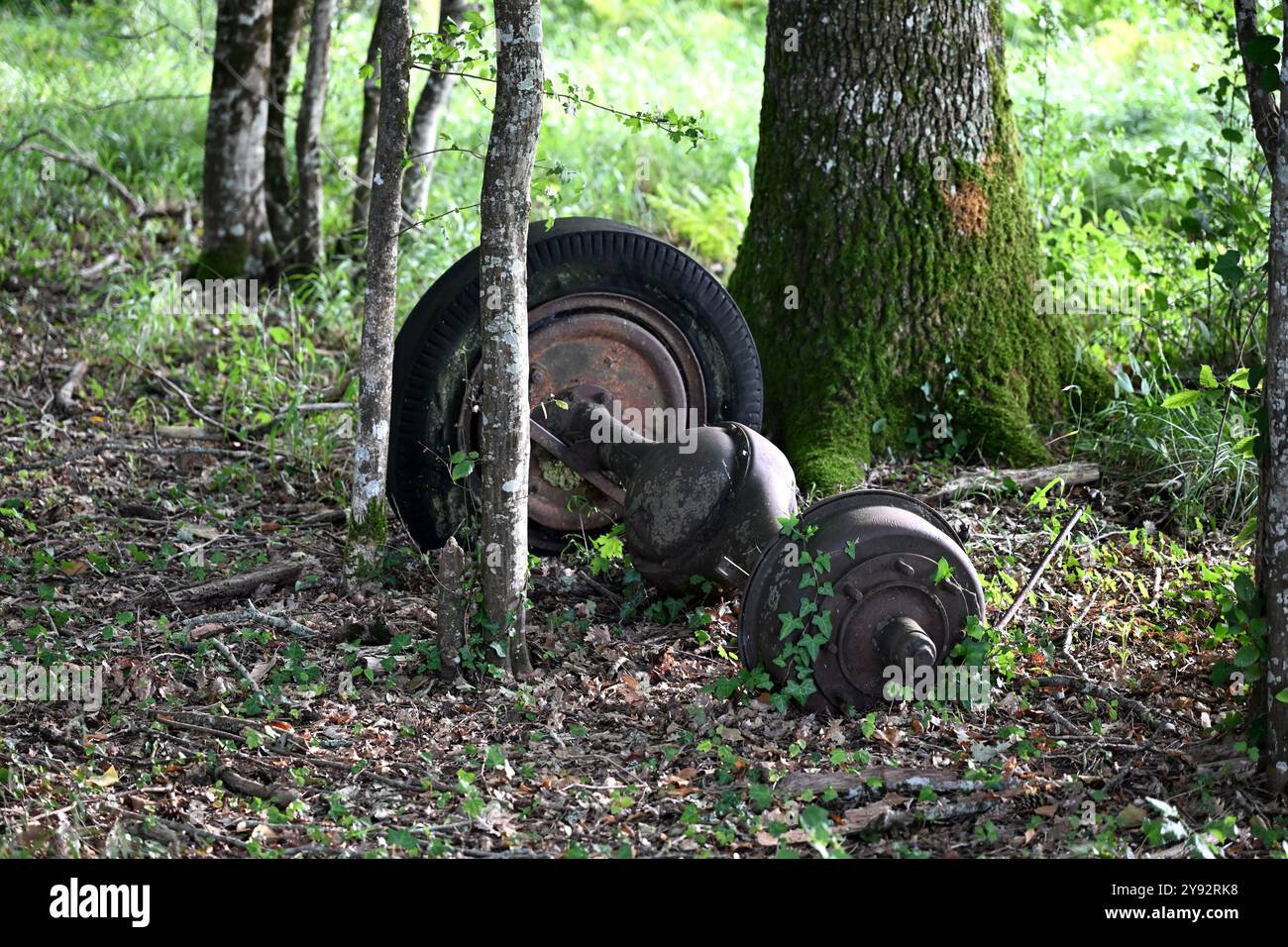 Alte, rostige Hinterachse und Rad im Wald stehen gelassen Stockfoto