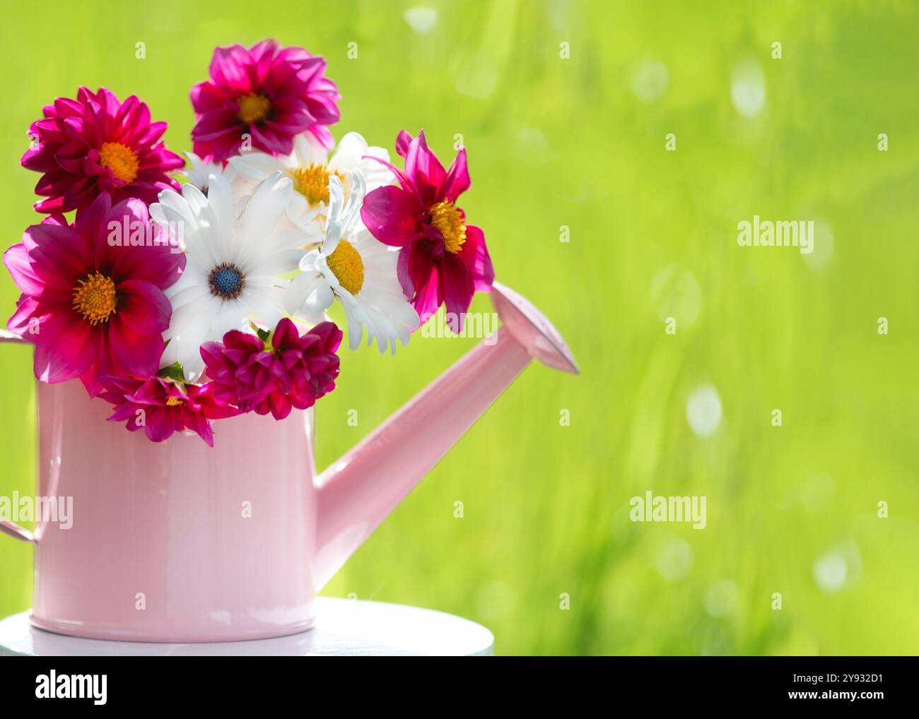 Rosafarbene Gießkanne gefüllt mit leuchtenden rosa und weißen Blumen vor einem weichen, unscharfen grünen Hintergrund. Frisch und lebendig, ein fröhliches, Su Stockfoto