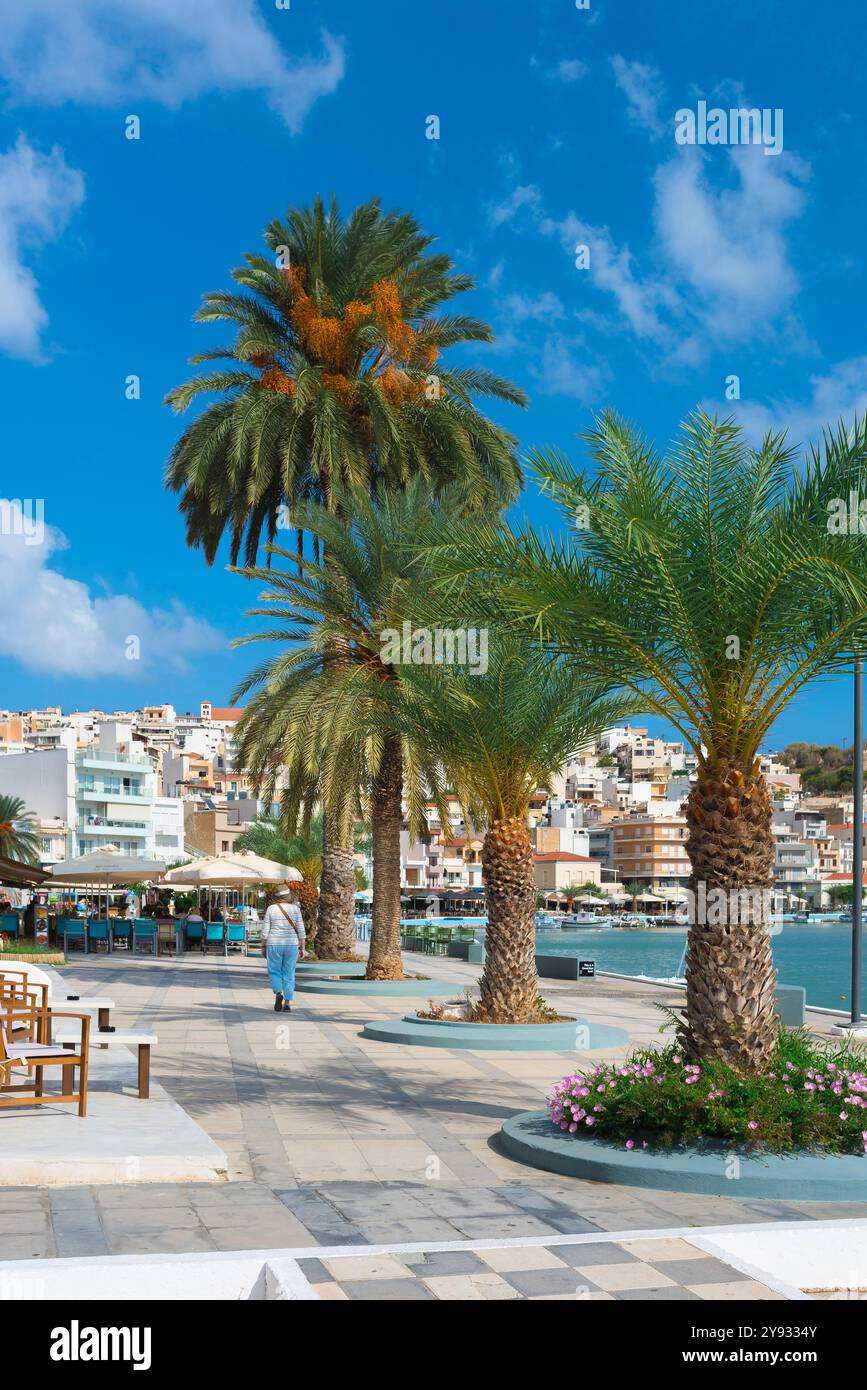 Sitia Bay Kreta, Blick im Sommer auf die Hafenpromenade in Sitia Bay, Lasithi, Griechenland Stockfoto