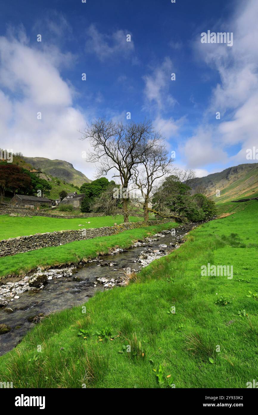 Sommerblick auf Sadgill Village, Sadgill Valley, Longsleddale, Lake District National Park; Cumbria; England Stockfoto