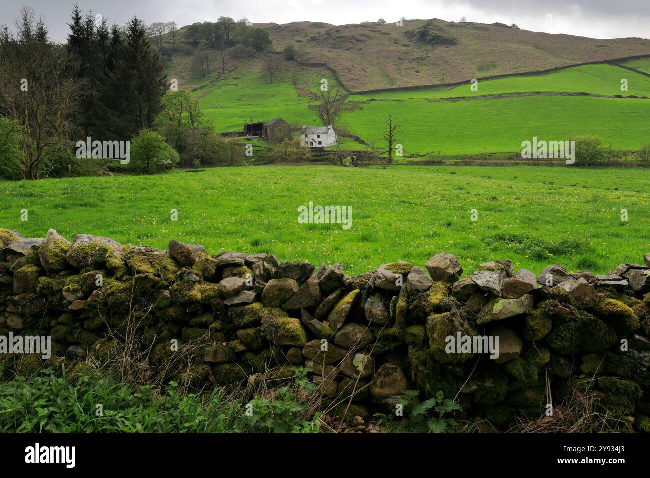 Sommerblick auf das Longsleddale Valley in der Nähe von Sadgill Village, Lake District National Park; Cumbria; England Stockfoto