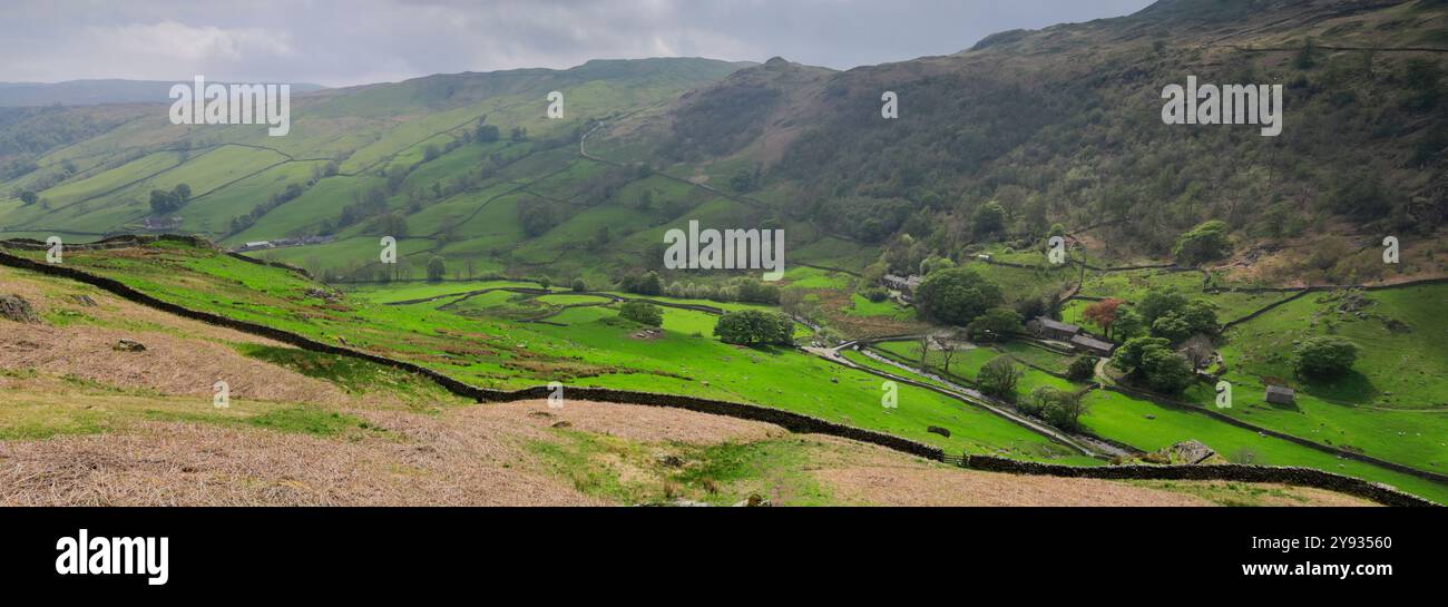 Sommerblick entlang des Sadgill Valley, Sadgill Village, Longsleddale, Lake District National Park, Cumbria, England Stockfoto