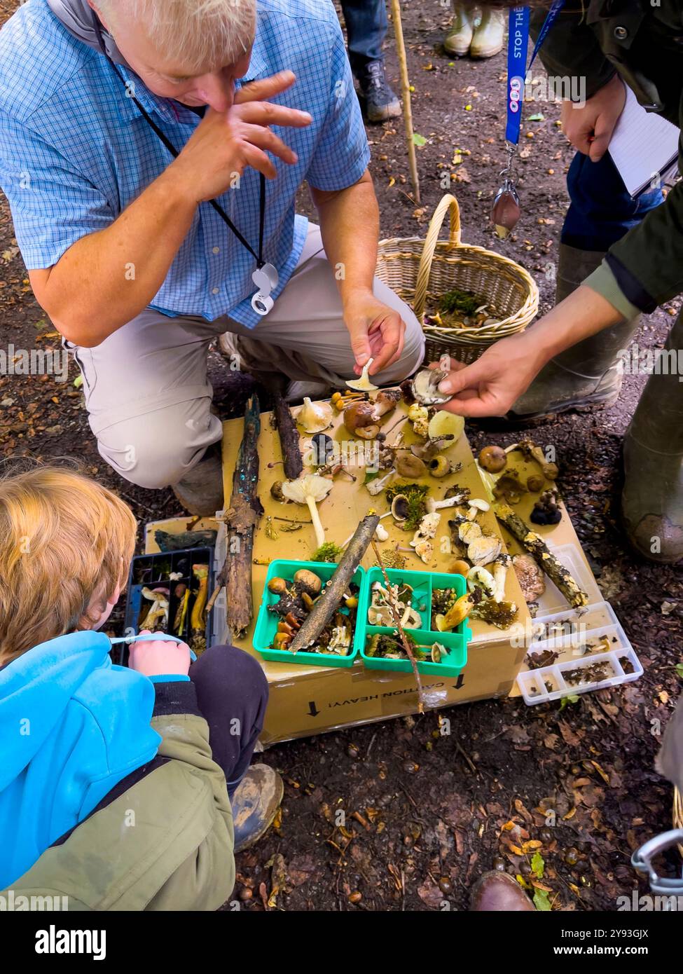 Pilzjäger untersuchen die morgendlichen Funde. Collin Park Wood Pilz Foray - Smartphone-aufgenommenes Stockfoto