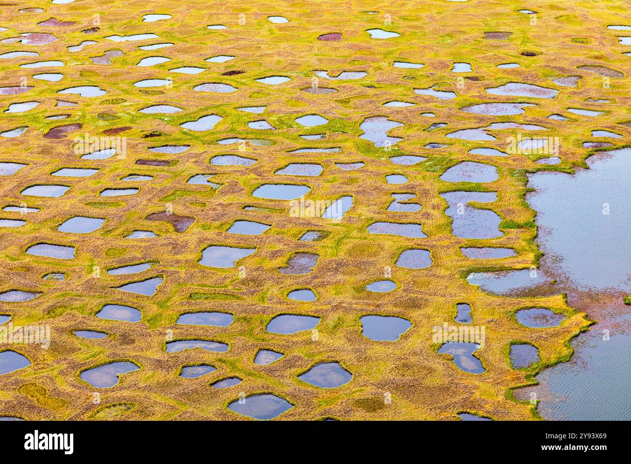 Draufsicht auf die Tundra. Seen und Sümpfe. Hintergrund für die Konstruktion Stockfoto