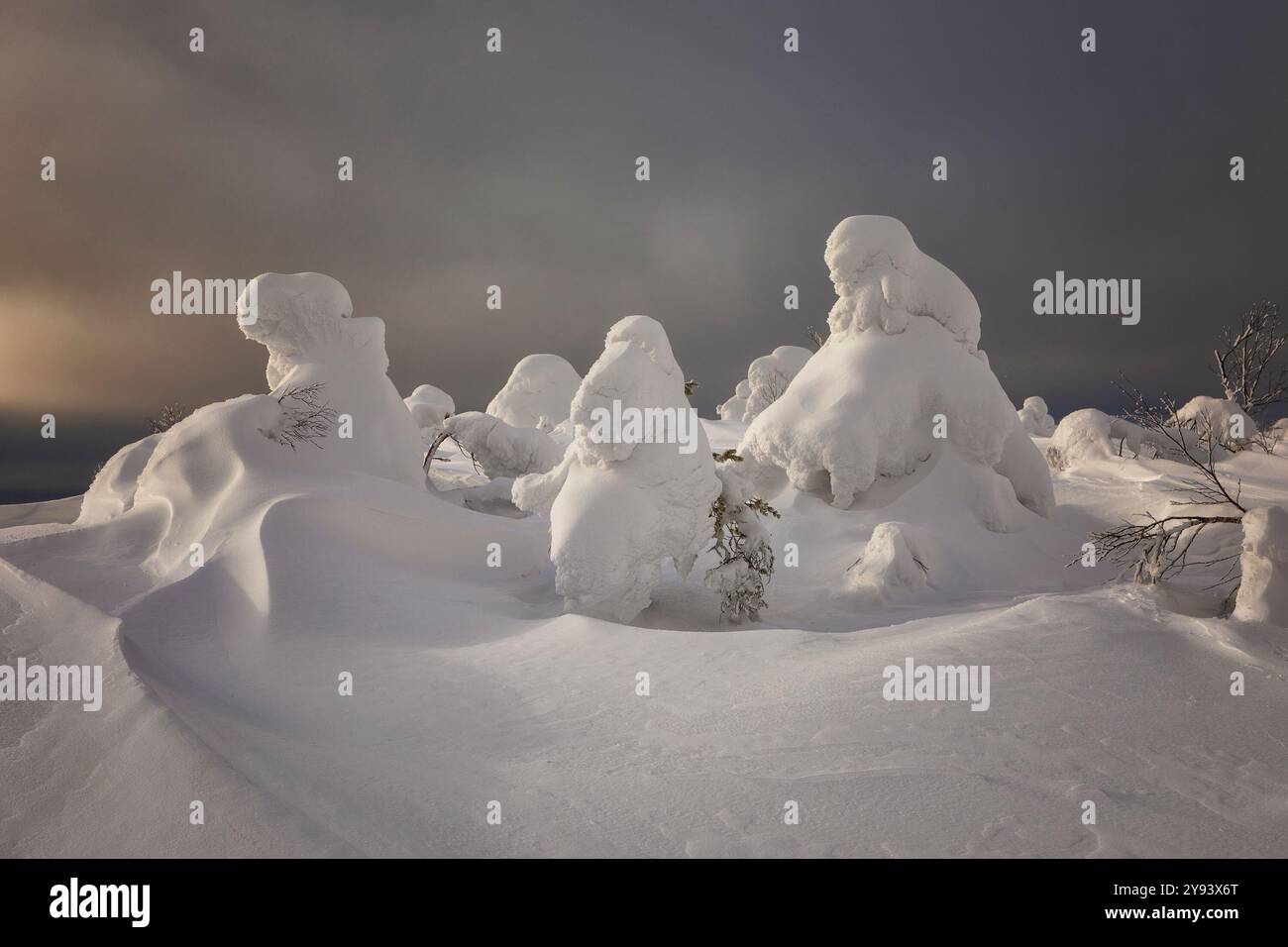 Landschaft mit winterlich schneebedeckten Bäumen. Karelien. Russland Stockfoto