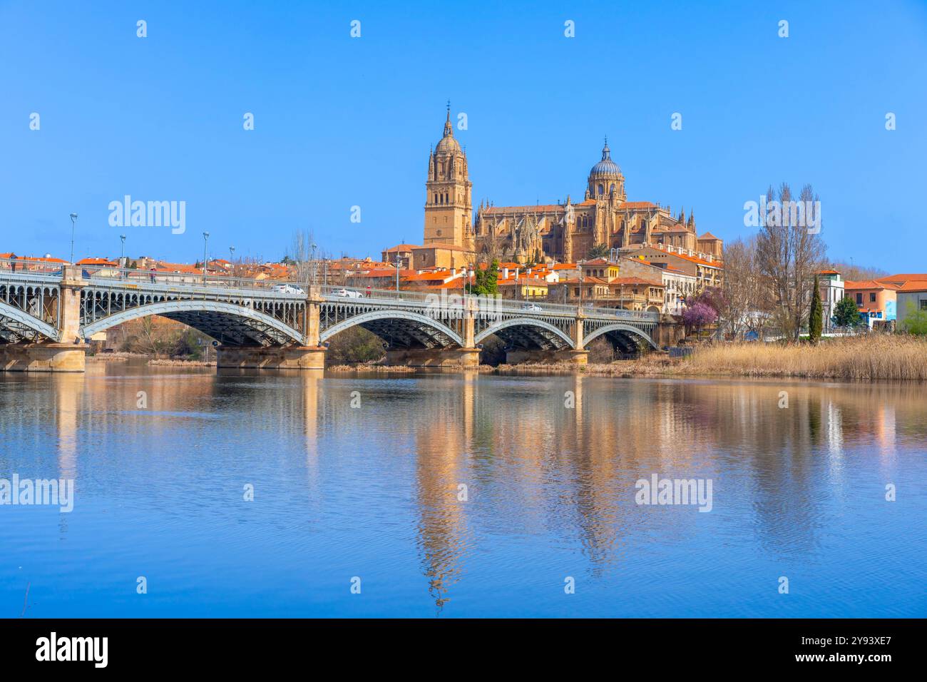 Fluss Tormes, neue Kathedrale von Salamanca (Catedral de la Asuncion de la Virgen), Altstadt, UNESCO-Weltkulturerbe, Salamanca, Kastilien und Leon, Sp Stockfoto