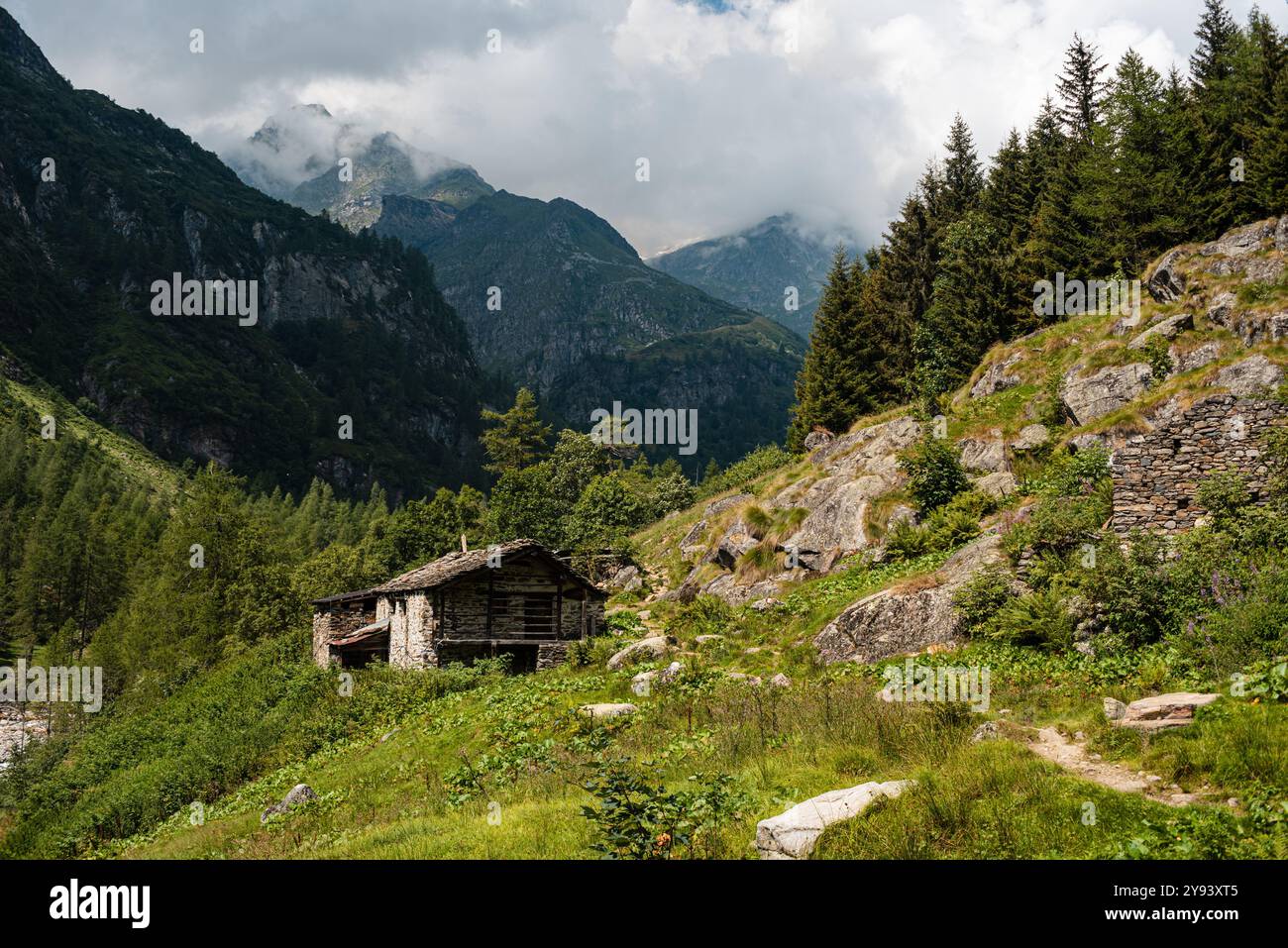 Steinhütte in einem Alpenwald auf einem Wanderweg in Alagna Valsesia in den italienischen Alpen, Piemont, Italien, Europa Stockfoto