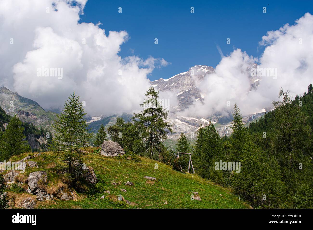 Alpenwald mit majestätischen Bergen der italienischen Alpen am Monte Rosa, Alagna Valsesia, Piemont, Italien, Europa Stockfoto