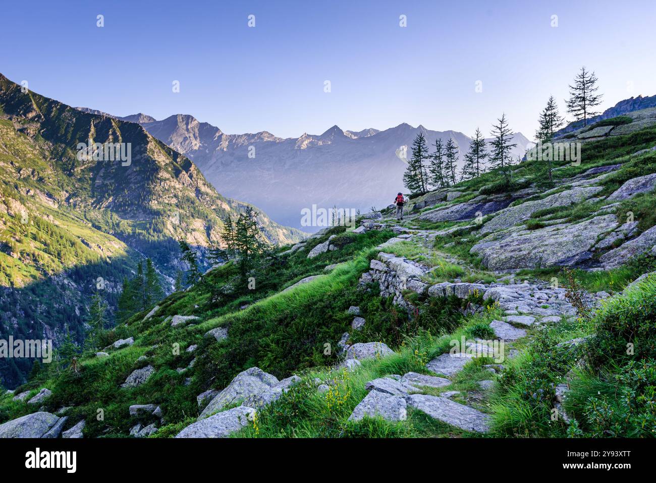 Wunderschöner idyllischer Wanderweg in der frühen Morgensonne mit Bergkette im Hintergrund, Monte Rosa, Piemont, italienische Alpen, Italien, Europa Stockfoto