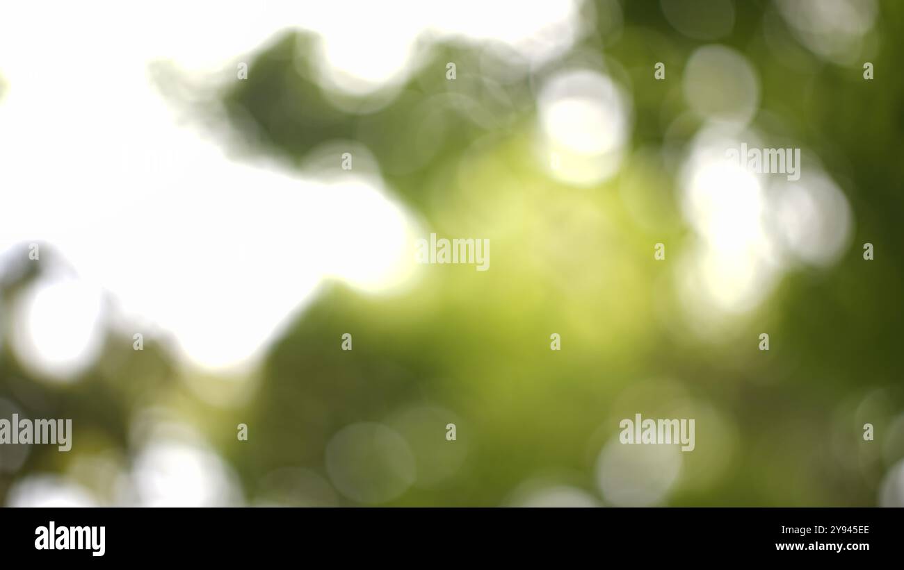 Grüner abstrakter Hintergrund mit sauberen Runden Stockfoto