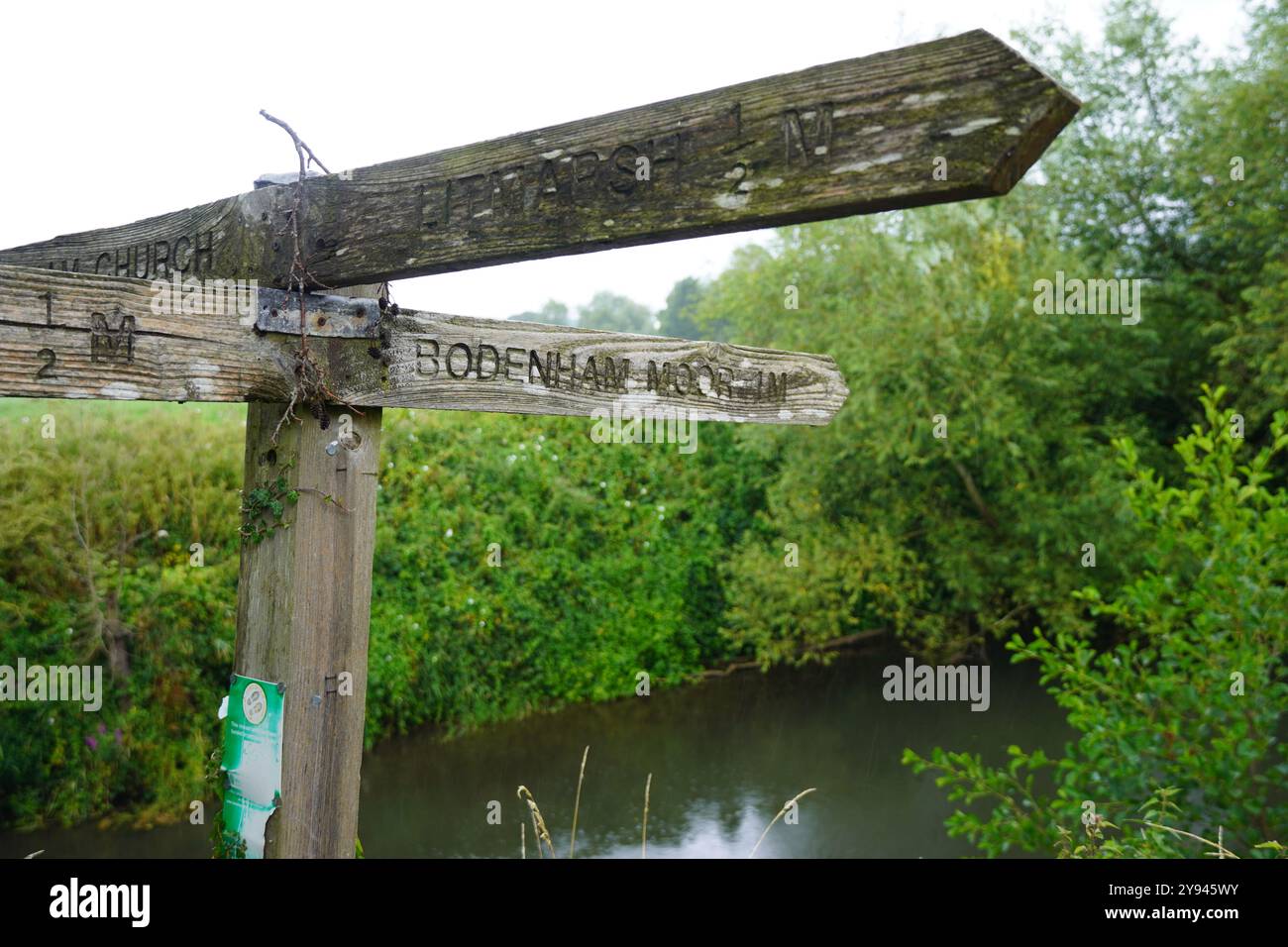 Holz- Wegweiser Stockfoto