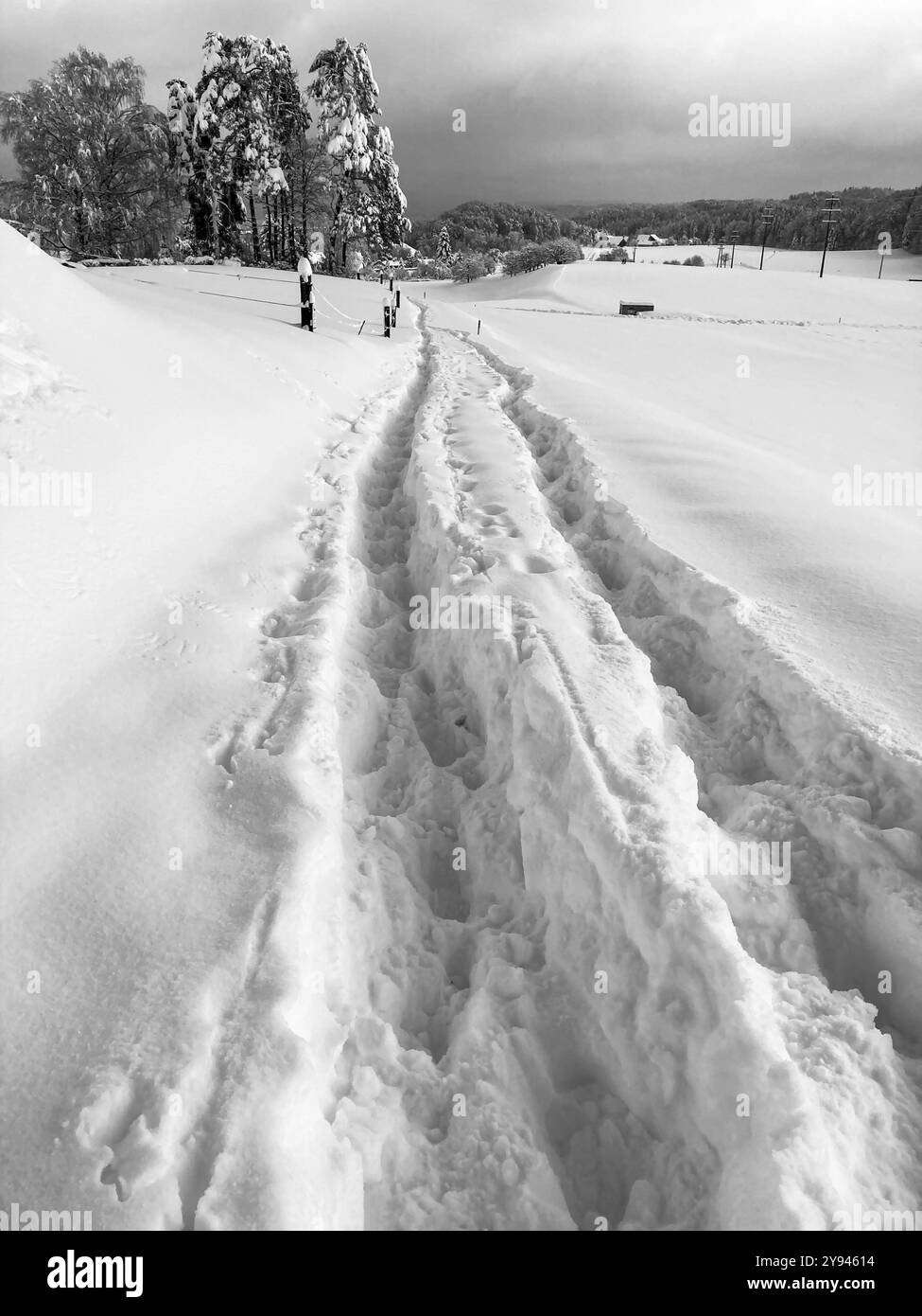 Schwarz-weiße Landschaft mit Schnee, Pfad führt in den Wald in der Ferne. Fußspuren werden im Schnee angezeigt. Aargau, Schweiz Stockfoto