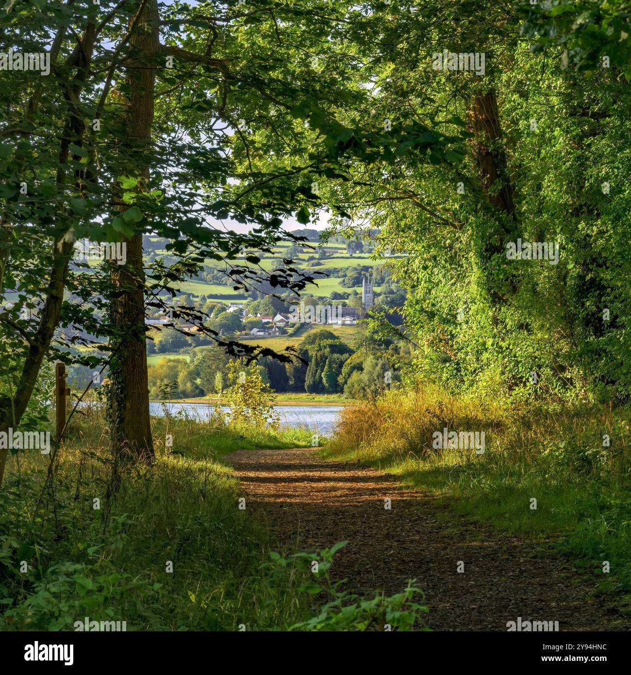 Waldweg am Blagdon Lake, Somerset, Großbritannien kurz nach Sonnenaufgang mit sonnendurchfluteten Bäumen in der frühen Morgensonne und Blagdon Village in der dist Stockfoto