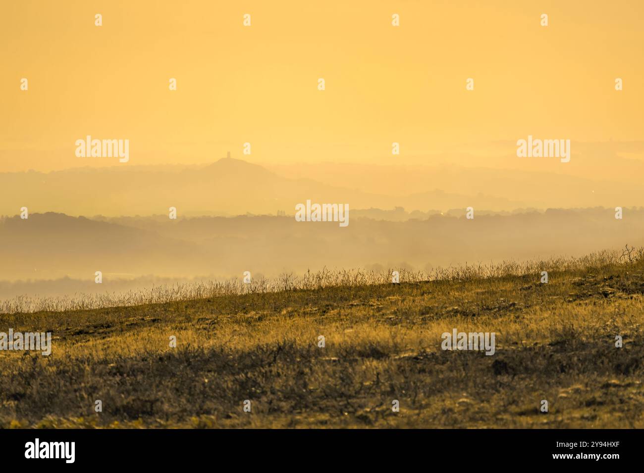 Blick von den Quantock Hills, Somerset, Großbritannien kurz nach Sonnenaufgang in der goldenen Stunde mit Glastonbury Tor in der Ferne und Nebelschichten Stockfoto