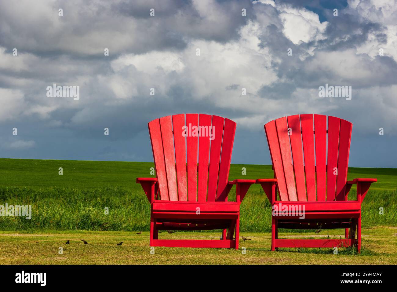 Dieses Bild voller Kopierraum von zwei riesigen Red Adirondack Stühlen, die auf einem grünen Feld unter bewölktem Himmel in Texas City, Texas, USA sitzen Stockfoto