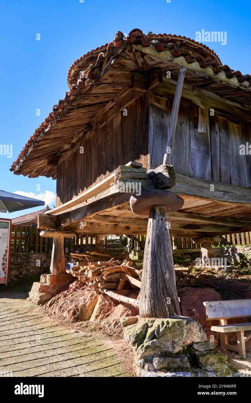 Horreo, traditioneller Speicher, mittelalterlicher Komplex, Bandujo, Banduxu, Proaza, Asturien, Spanien Stockfoto