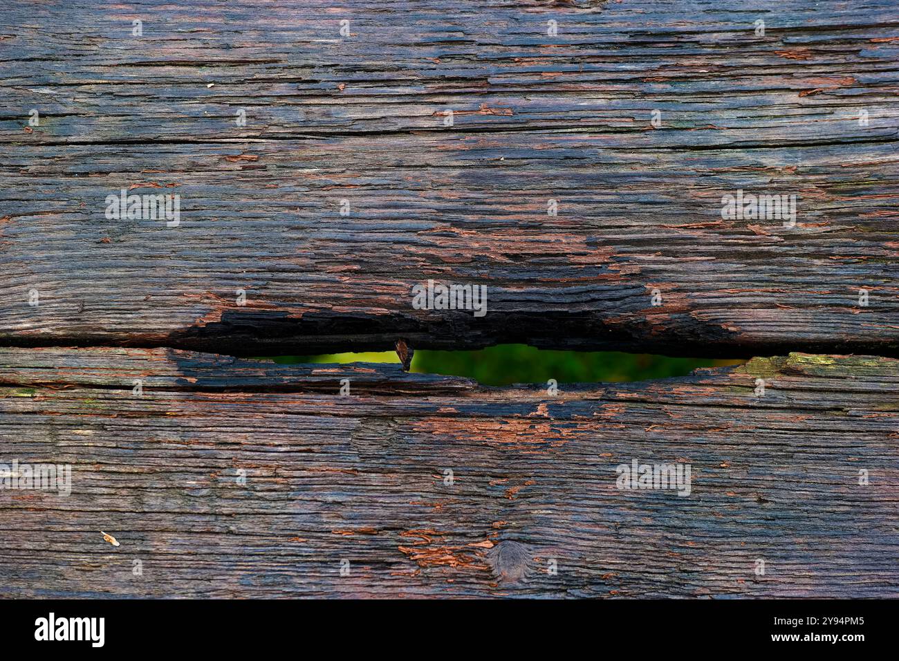 Alte Holzstruktur als Hintergrund mit schönen Mustern der Natur Stockfoto