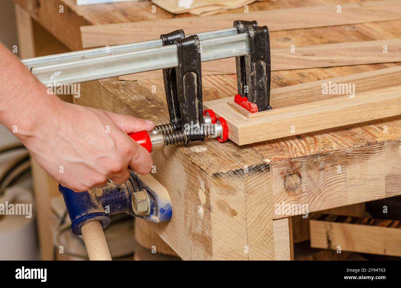 Befestigung von Schreinerklammern an einem Holzgestell in einer Schreinerei, Verkleben von Brettern Stockfoto
