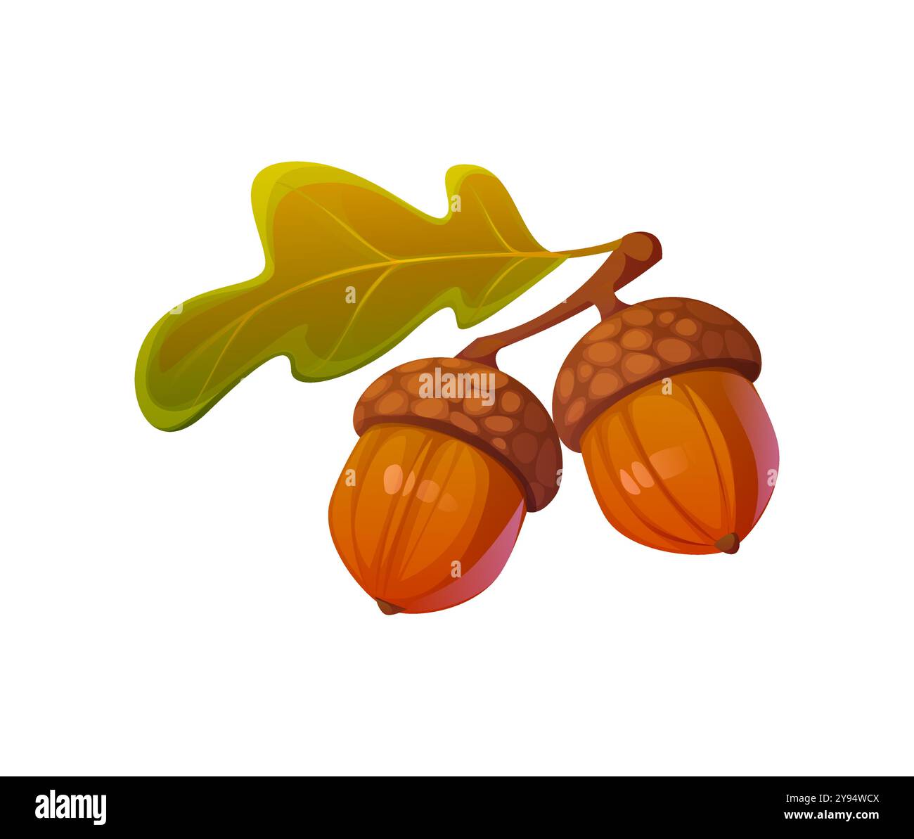 Die auf einem grünen Eichenblatt angebrachten Herbsteicheln, kleine, nussartige braune Samen von Eichenbäumen, haben eine Kappe. Isolierter Vektor gefallenes Waldblatt, Waldpflanze, symbolisiert Wachstum, Zyklus des Lebens Stock Vektor
