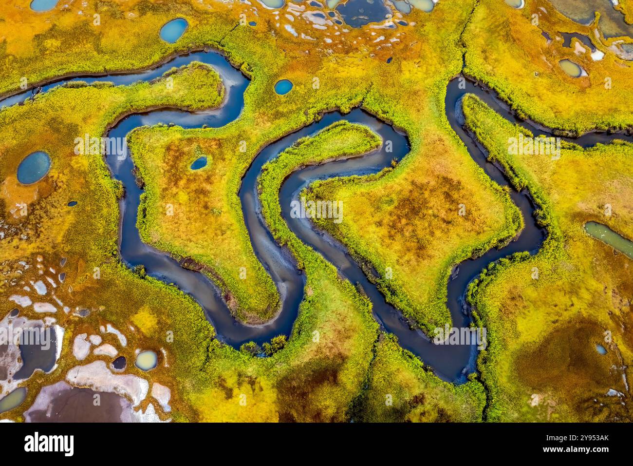 Ein Blick aus der Vogelperspektive fängt den gewundenen Pfad eines Flusses ein, der sich durch üppig grüne Sumpfgebiete schlängelt. Helle Vegetationsflächen und verstreute Wasserbecken Crea Stockfoto