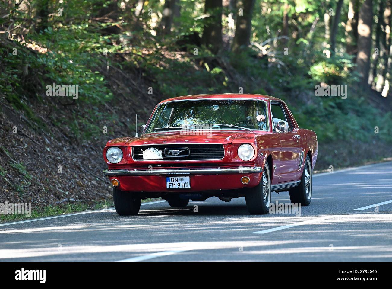 Altenkirchen Themenfoto: Automobil, Oldtimer, Veteranen, Klassiker, Raritaeten, Deutschland, Rheinland-Pfalz, Altenkirchen, MSC Altenkirchen, 44. ADAC Raiffeisen-Veteranenfahrt, 05.10.2024 Ford Mustan Bj. 1966 Themenfoto: Automobil, Oldtimer, Veteranen, Klassiker, Raritaeten, Deutschland, Rheinland-Pfalz, Altenkirchen, MSC Altenkirchen, 44. ADAC Raiffeisen-Veteranenfahrt, 05.10.2024 *** Altenkirchen Themenfoto Automobil, Oldtimer, Veteranen, Klassiker, Raritaeten, Deutschland, Rheinland Pfalz, Altenkirchen, MSC Altenkirchen, 44 ADAC Raiffeisen Veteranenfahrt, 05 10 2024 Ford Mustan Bj 1966 Th Stockfoto