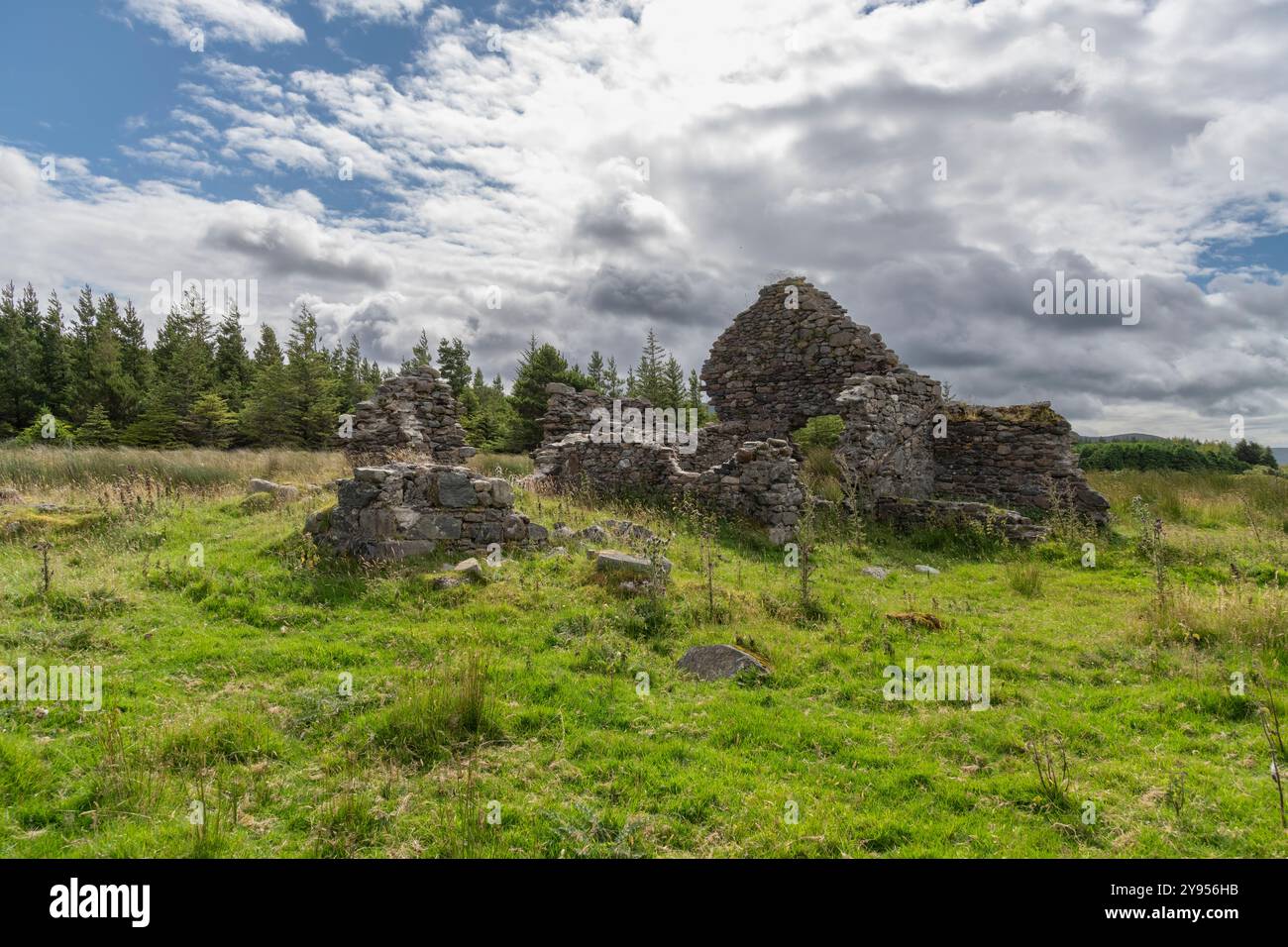 Ruinen der Cooper's Lodge, umgeben von üppigem Grün an einem bewölkten Tag Stockfoto