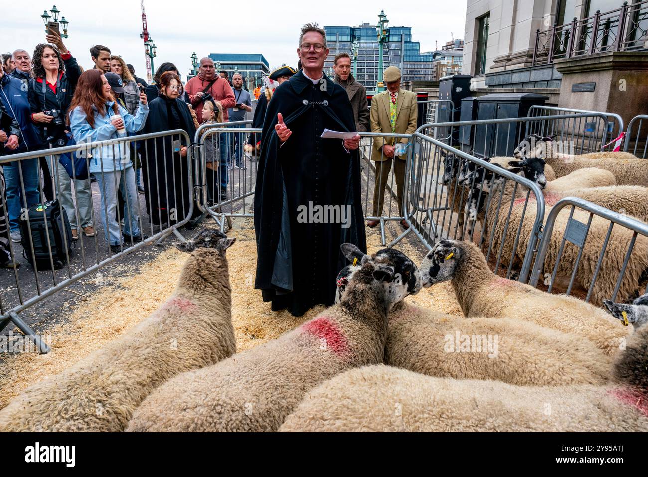 Ein Kirchenbeamter segnet das Schaf während der Zeremonie „The Seessing of the Sheep“, die dem Annual Sheep Drive, Southwark Bridge, London, vorangeht. Stockfoto