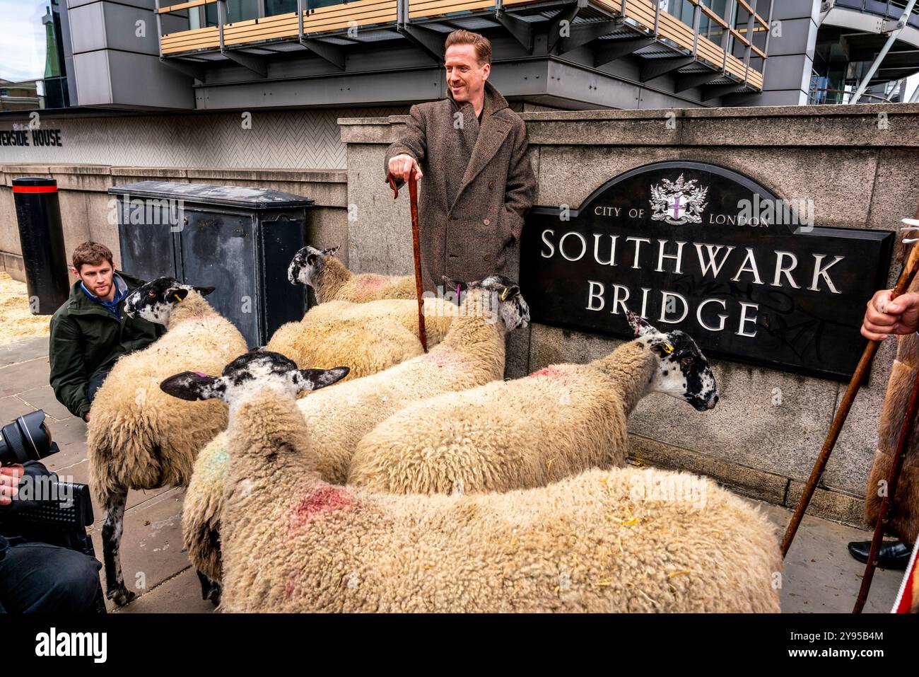 Hollywood-Schauspieler Damian Lewis leitet den Annual Sheep Drive Across Southwark Bridge in einer Veranstaltung, die von der Worshipful Company of Woolmen, London, Großbritannien, veranstaltet wird. Stockfoto